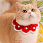 宠物猫狗兔毛线针织项圈现年圣诞节饰品口水巾可爱原创设计