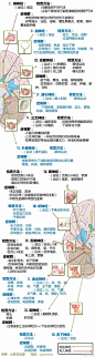 颅神经检查