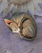 Sphynx Cat Resin UNPAINTED Figurine Blank Kit Unfinished Paint it Yourself Sleeping Sphynx Sculpture Gift for Cat Lover