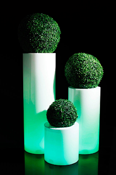 八豆采集到花器