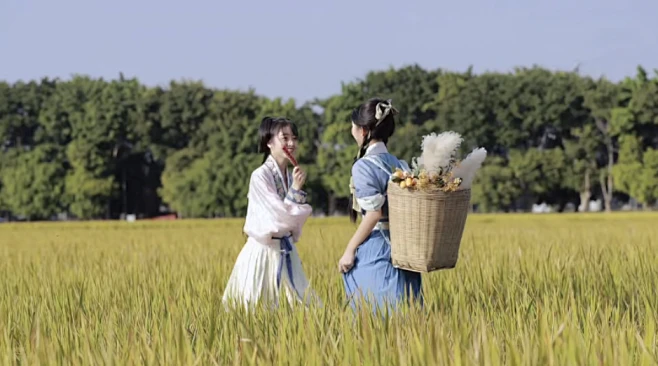 种田3-花瓣网