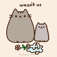 Senny-森妮采集到Pusheen