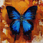 The Ulysses Butterfly