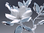 TUOPIN_White_silver_metallic_textured_flower_clean_background_b_a73bf4ff-dbb5-4ad4-b56f-101971cbdc68