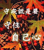 mmexport1472697042568