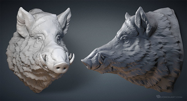 Wild Boar head. Digi...