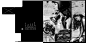 Laurent Nivalle on Behance