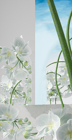 Luannie采集到花