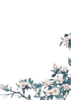 木木小乖乖采集到花