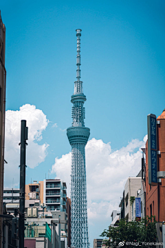 尼古拉斯大黄狗采集到现代城市建筑灵感