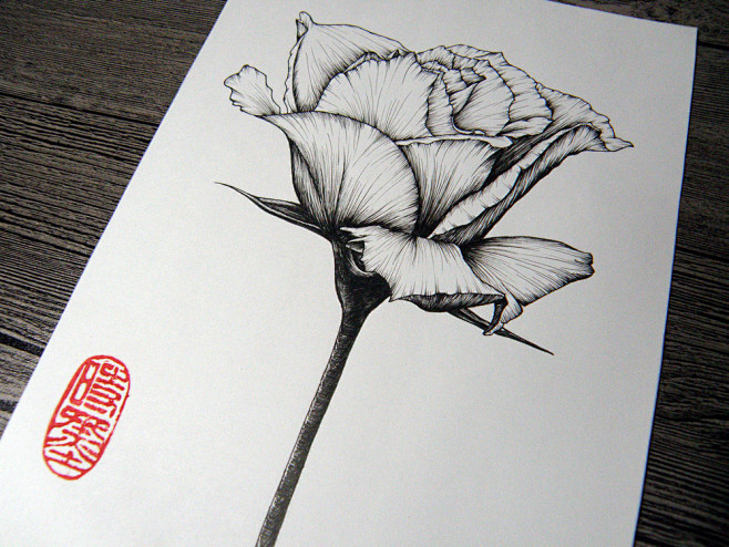 黑白花卉-时墨_手绘,黑白,针管笔,花卉...