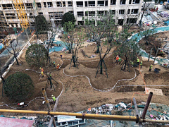 明明如月11采集到A花园——构成元素/种植/造型树