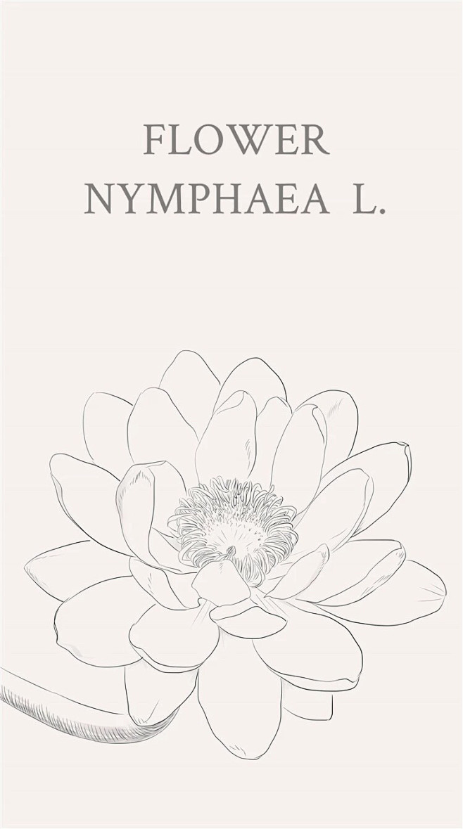 睡莲（学名：Nymphaea L.），多...