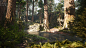 UE4 Redwood Forest V2 Update, Willi Hammes : Latest updated version of the procedural giant sequoia forest in Unreal Engine 4. Tones of new assets and massive tweaks to all textures and materials. The updated pack is now available via cgtrader: https://ww