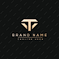 VT logo Design Template Vector Graphic Branding Element