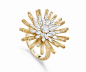 Piaget 伯爵「Golden Oasis」灵感汲取自沙漠广袤无垠的壮美景观 「Play of Lights」Endless Sun 玫瑰金戒指 主石为一颗0.35ct的明亮式切割钻石，点缀榄尖形切割钻石