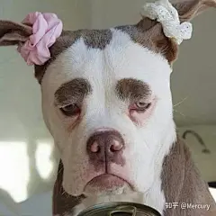 起床气表情包的搜索结果_360图片