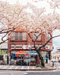 #摄影-韩国济州岛街景