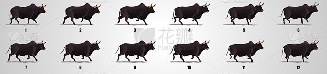 牛跑循环动画序列 