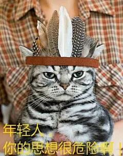 可爱猫咪表情包系列第三弹