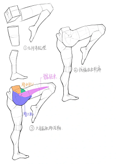 abcyes采集到腿