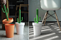 Cactrash : This cactus can keep your room clean. Just pull the cactus plant out and leave your garbage in the pot, push the plant to flatten your garbage and you will have more space to throw the rubbish in.