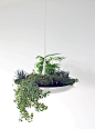 3 the babylon plantable light fixture by ryan taylors The Babylon Plantable Light Fixture by Ryan Taylors