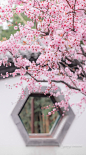 @溶金 的个人主页 - 微博