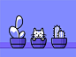 Cactus cat 