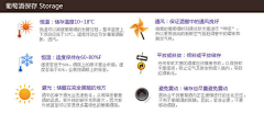 葡萄酒朱莉Julie采集到〖♥藿香蓟♥〗每天进步一点