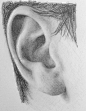 How to draw realistic Ears video https://www.artbynolan.com/how-to-draw-realistic-ears/: 