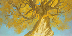 adobe-111采集到光影