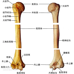 エターナルエスト采集到まなび