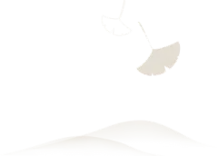 11.11严选内行生活（双11） - 网易严选双十一品质底价包邮秒杀京东双十一和天猫双十一