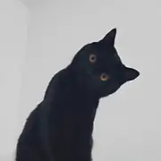 修熠是魔鬼