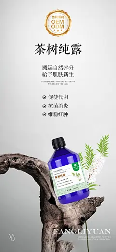 茶树纯露