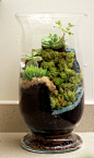 Another World Succulent Waterfall Terrarium. $100.00, via Etsy.   #精美构思#