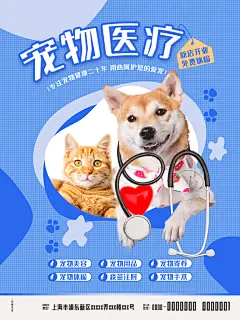 宠物商店海报寄养兽医狗猫粮食柯基美容
