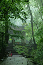 下雨天的虎跑公园就像雨林仙境 - 小红书