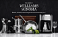 World of Williams Sonoma >