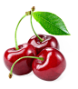 车厘子图片樱桃特写cherry级别35J手绘海报装饰元素PNG免抠素材