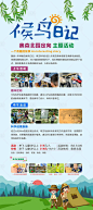 候鸟日记公园定向亲子主题户外活动-素材库-sucai1.cn