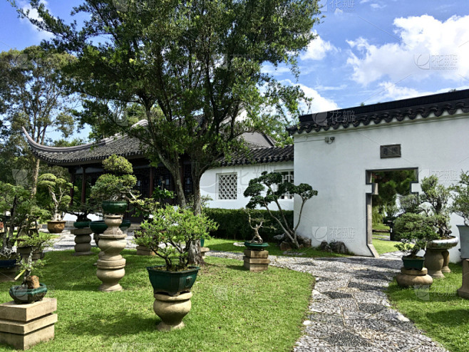 盆景,新加坡,园林,中式庭院,自然,禅宗...