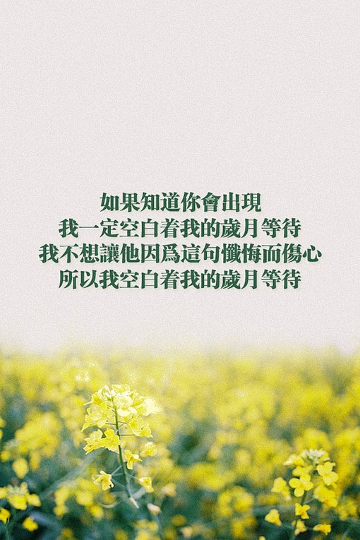 正能量的小清新文字句子