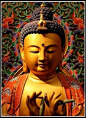 buddha