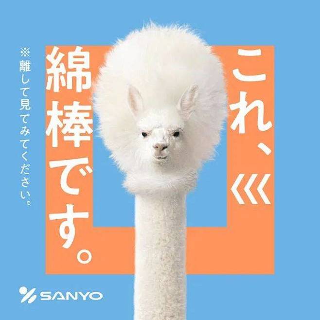 日本公司用羊驼代言棉棒，创意太有才，让人...