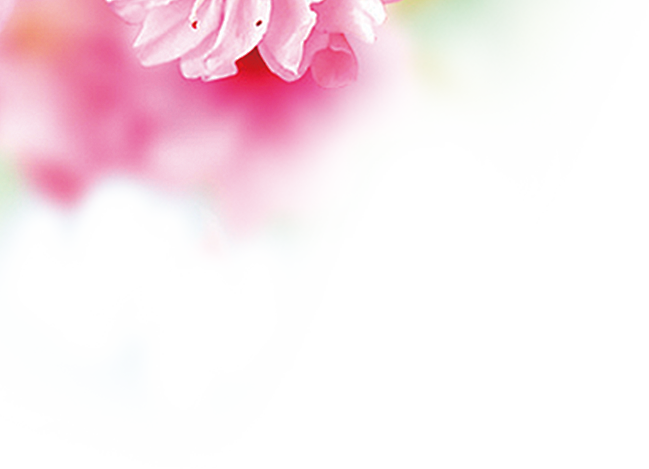 8ea6bedbdfbda782e50a...