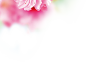 8ea6bedbdfbda782e50ac52d89290f11.png (649×469)