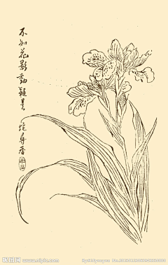 光Orion采集到芥子园画谱