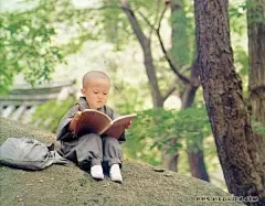 少林寺招生海报